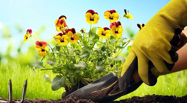 Quid caestus operis usus est?